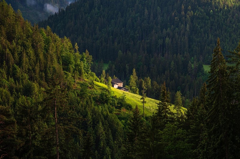 Remote Cabin Stay